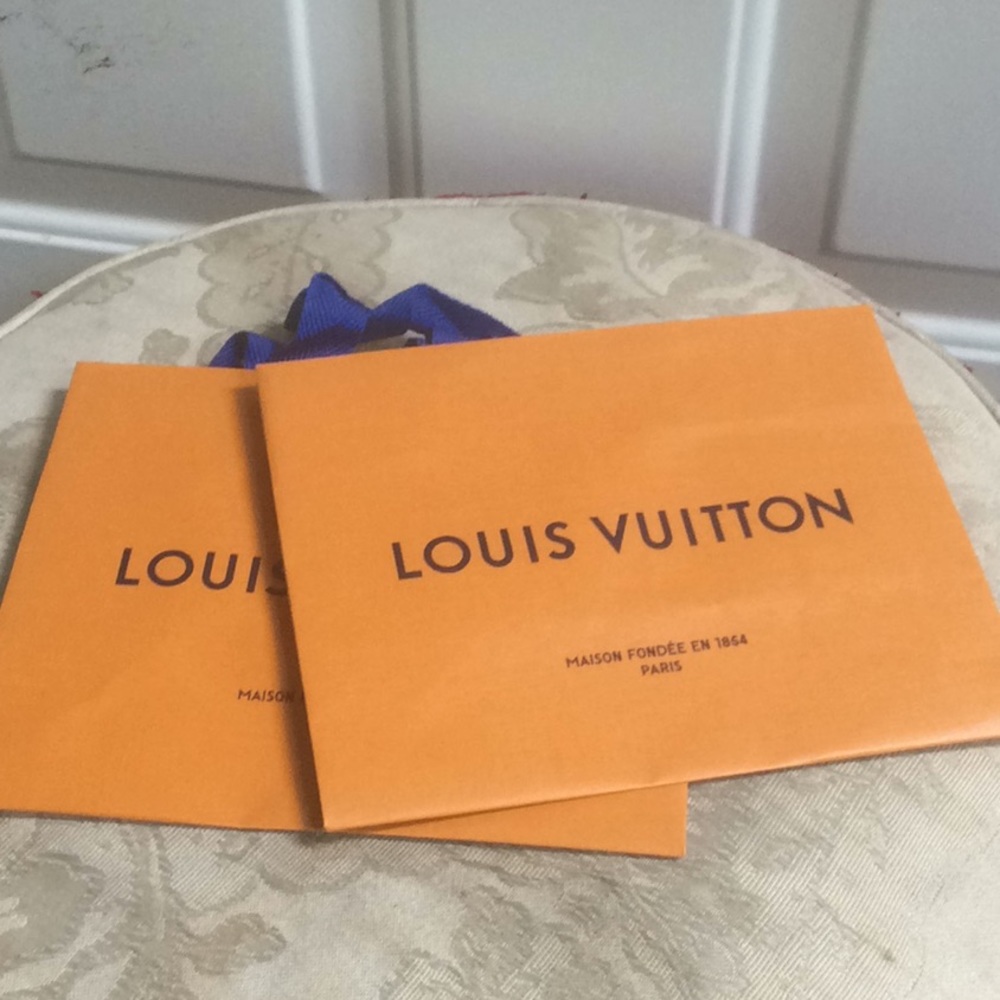 2 brand new Louis Vuitton small bags